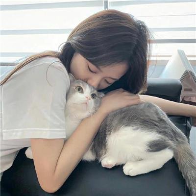 海盗岛:甲板上的家族